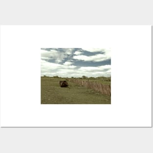 Old boat abandoned on a field Posters and Art